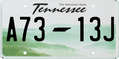 TN license plate A7313J