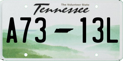 TN license plate A7313L