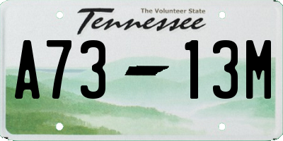 TN license plate A7313M