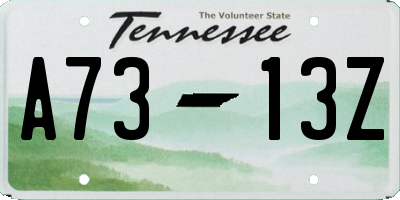 TN license plate A7313Z