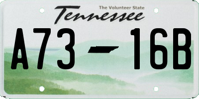 TN license plate A7316B
