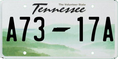 TN license plate A7317A