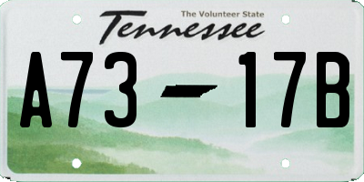 TN license plate A7317B