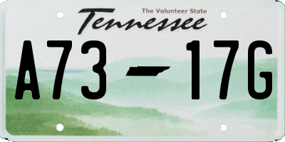 TN license plate A7317G