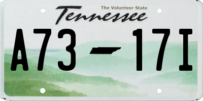 TN license plate A7317I