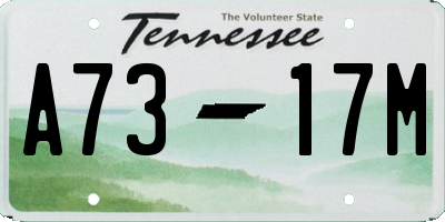 TN license plate A7317M
