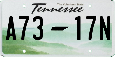 TN license plate A7317N