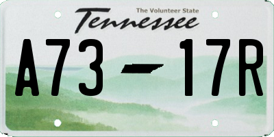 TN license plate A7317R