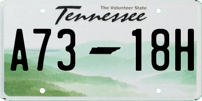TN license plate A7318H