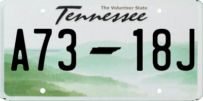 TN license plate A7318J