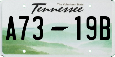 TN license plate A7319B