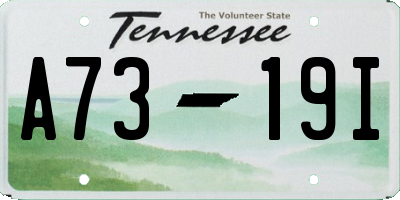 TN license plate A7319I