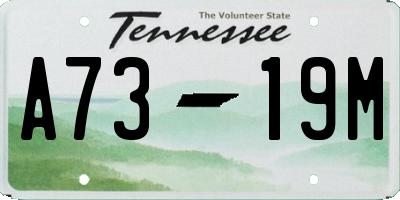 TN license plate A7319M