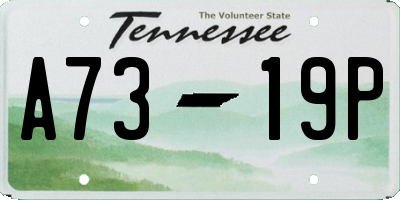 TN license plate A7319P