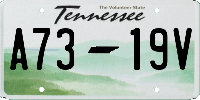 TN license plate A7319V