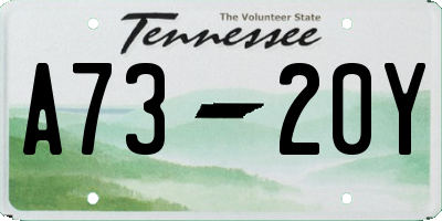 TN license plate A7320Y