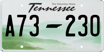 TN license plate A7323O