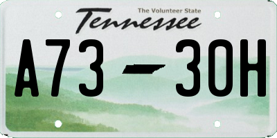 TN license plate A7330H
