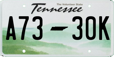 TN license plate A7330K