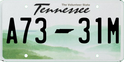 TN license plate A7331M
