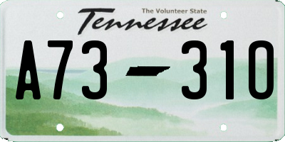 TN license plate A7331O