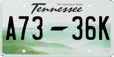TN license plate A7336K