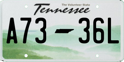 TN license plate A7336L