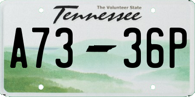 TN license plate A7336P