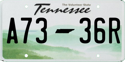 TN license plate A7336R