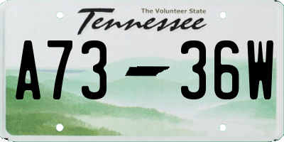 TN license plate A7336W