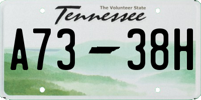 TN license plate A7338H