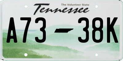 TN license plate A7338K