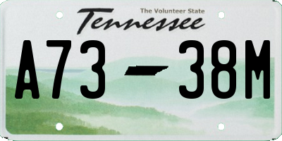TN license plate A7338M