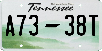 TN license plate A7338T