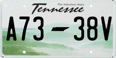 TN license plate A7338V