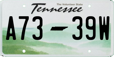 TN license plate A7339W