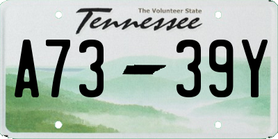 TN license plate A7339Y