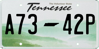 TN license plate A7342P