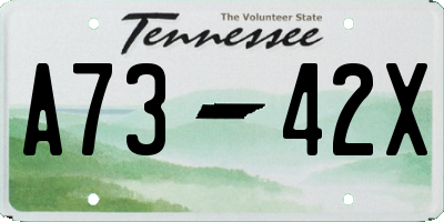 TN license plate A7342X