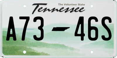 TN license plate A7346S