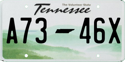 TN license plate A7346X