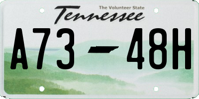 TN license plate A7348H