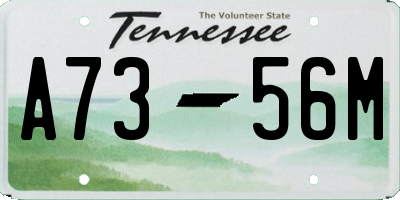 TN license plate A7356M