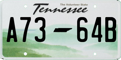 TN license plate A7364B