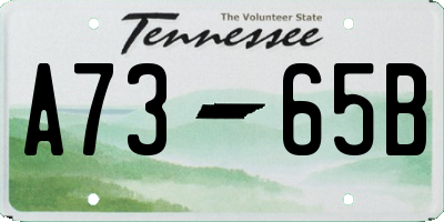 TN license plate A7365B