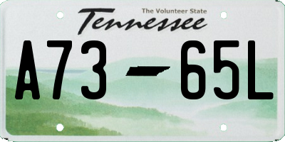 TN license plate A7365L