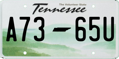 TN license plate A7365U