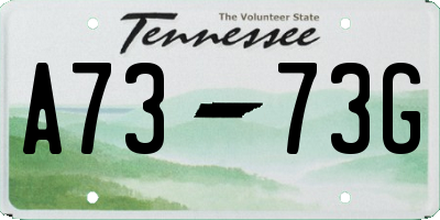 TN license plate A7373G
