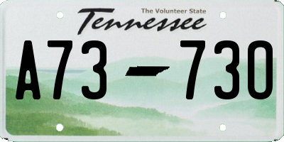 TN license plate A7373O