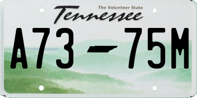 TN license plate A7375M